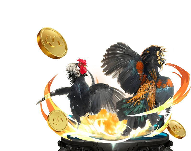 Các chương trình khuyến mãi độc quyền cho đá gà tại 0king88